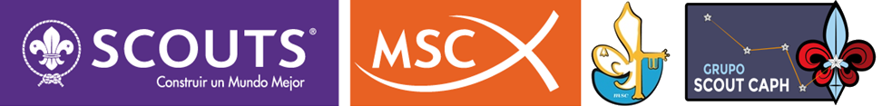Scouts MSC · Salesianos Don Bosco · Grupo Scout CAPH
